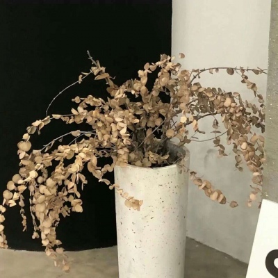 浮山福瑞交流群